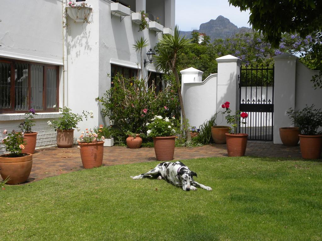Applegarth B&B And Self-Catering Studios Cape Town Dış mekan fotoğraf