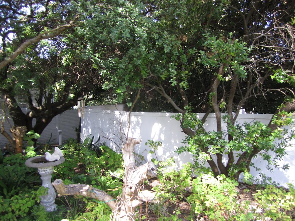 Applegarth B&B And Self-Catering Studios Cape Town Dış mekan fotoğraf