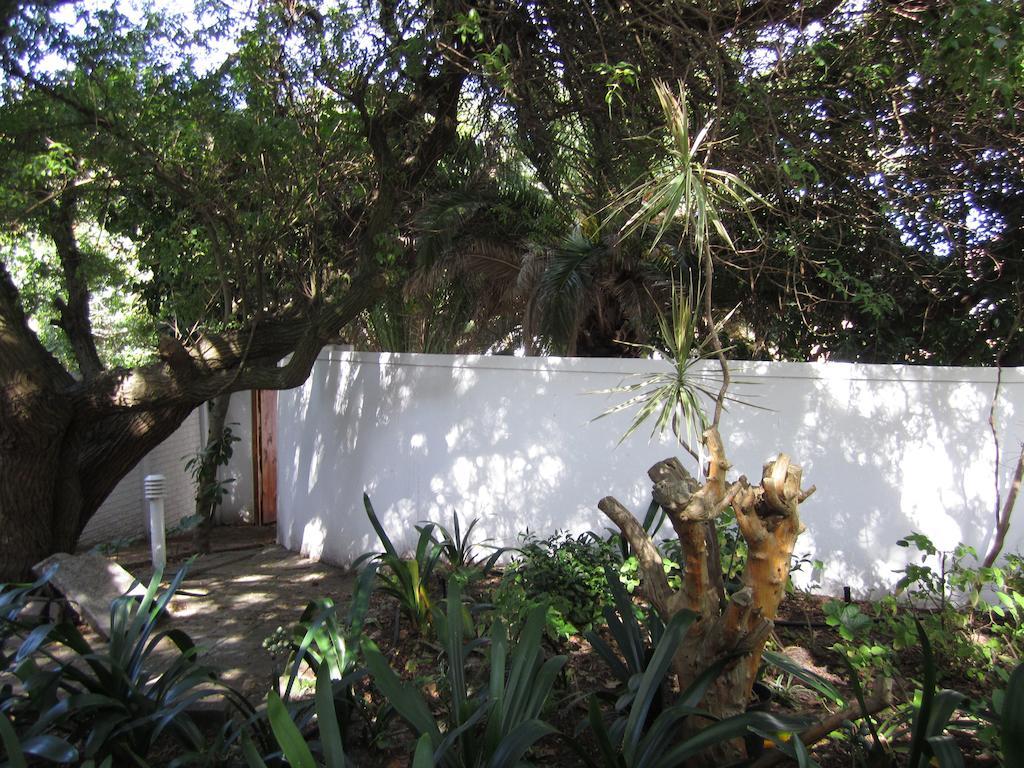 Applegarth B&B And Self-Catering Studios Cape Town Dış mekan fotoğraf