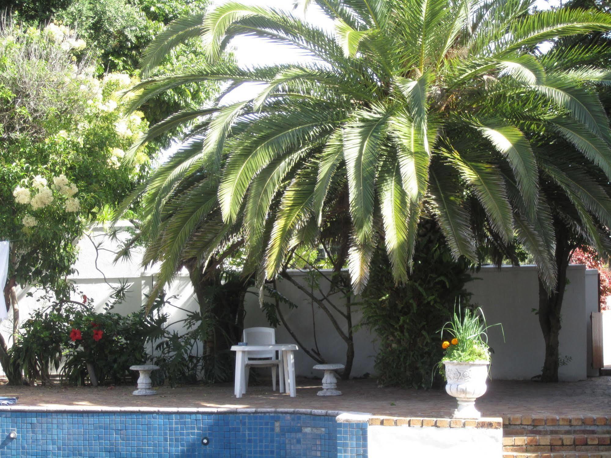 Applegarth B&B And Self-Catering Studios Cape Town Dış mekan fotoğraf